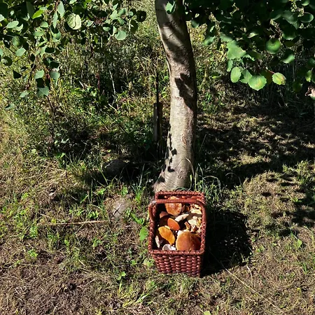 Hají 3* Janov nad Nisou